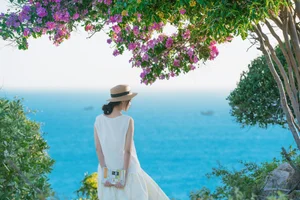 Mui Dinh’s Purple Bloom: A Breathtaking Summer Travel Guide to Vietnam’s Hidden Coastal Gem - image 3