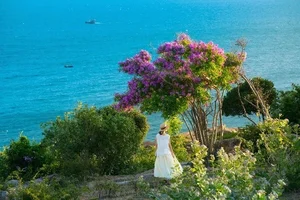 Mui Dinh’s Purple Bloom: A Breathtaking Summer Travel Guide to Vietnam’s Hidden Coastal Gem - image 8