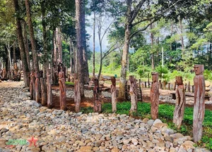 Discovering Mang Den Art Garden: A Cultural Highlight in Kon Tum Tourism - image 1