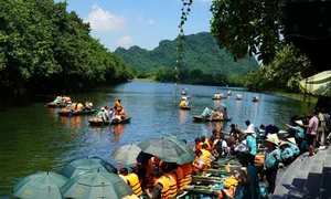 Over 800 Indian Tourists Visit Trang An - A New Wave of Tourism in Vietnam - image 4