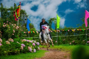 The 7th Sa Pa Horse Racing Festival: A Cultural Spectacle Above the Clouds - image 5