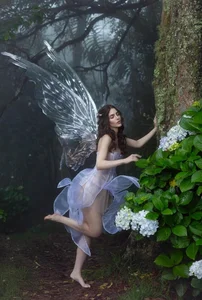 Miss Universe Venezuela 2025: A Mystical Forest Fairy Photoshoot Concept - image 8
