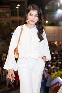 The Timeless Elegance of Vietnam's Renowned Female CEO Le Hong Thuy Tien - image 5