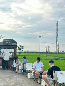 Escape to Nature: The Unique Rice Field Cafe in Thai Binh - image 4