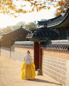 Vietnamese MC Thanh Thanh Huyen Shines in Traditional Hanbok in Korea - image 8