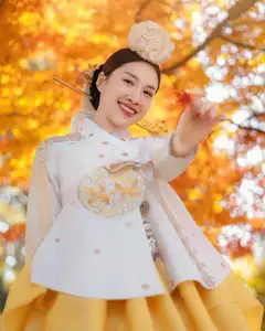 Vietnamese MC Thanh Thanh Huyen Shines in Traditional Hanbok in Korea - image 4