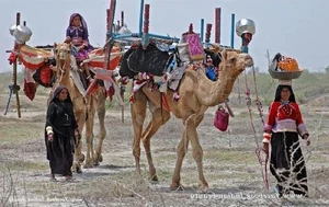 The Remarkable Culture of the Raika Camel Herders in India’s Thar Desert - image 6