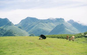 Explore Suối Bon Sơn La: A Dreamy Destination for Camping Enthusiasts - image 8