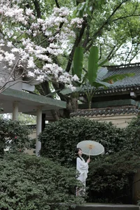 Captivating Moments: YiTuYu Art Language Vol.6390 Featuring Yang Xi - image 26