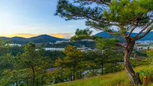 Chasing the Mist: The Best Hills in Da Lat for Early Morning Photography - image 0