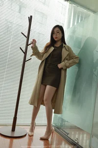 IESS Collection: Elegant Professional Hosiery Fashion - image 29