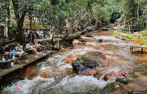 Nostalgic and Poetic Memories of Da Lat Tourism - image 5