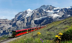 Top 10 Safest Countries for Your Next International Adventure in 2024 - image 2