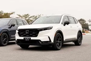 Hybrid Vehicle Sales Surge Following New Tax Incentive Policies - image 4