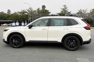 Hybrid Vehicle Sales Surge Following New Tax Incentive Policies - image 3