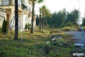 The Abandoned $15 Million Coastal Project in Loc Ha: A Look at Stalled Developments - image 11