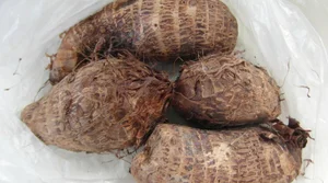The Root Vegetable Favored by Emperor Qianlong - Culinary History and Recipes - image 9