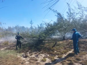 Massive Forest Fires in Quang Tri Province Amid Intense Heatwave - image 5