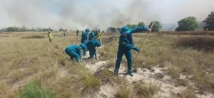 Massive Forest Fires in Quang Tri Province Amid Intense Heatwave - image 0