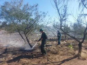 Massive Forest Fires in Quang Tri Province Amid Intense Heatwave - image 1