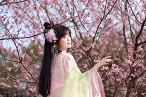 YITUYU Art Language 2024: The Aesthetic Beauty of Spring Cherry Blossoms and Strawberry Sago - image 9
