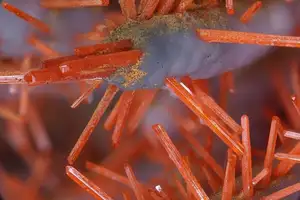 Discover Crocoite: The world's rarest brilliant orange-red mineral, a stunning crystal masterpiece - image 0