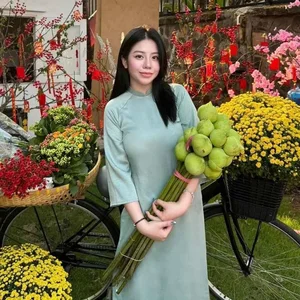 The Elegant Transformation of Susie: Minh Nhua’s Second Daughter Shines - image 3