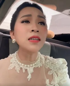 Hong Loan Appeals Inheritance Ruling in Vu Linh Estate Case: Vietnamese Showbiz Legal Battle and Charity Pledges Explained - image 1