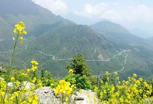 Comprehensive Travel Guide to Lai Chau: Discovering Northern Vietnam's Hidden Gems - image 5
