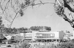 Nostalgic Da Lat: People and Landscapes of the 1950s-1960s - image 7