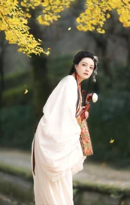 The Art of Elegance: YiTuYu Art Language Vol.6437 Nu Li Hua Zhuang De Sui Sui - image 10