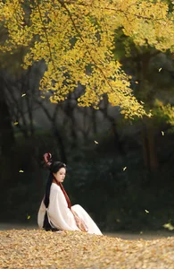 The Art of Elegance: YiTuYu Art Language Vol.6437 Nu Li Hua Zhuang De Sui Sui - image 2
