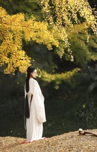 The Art of Elegance: YiTuYu Art Language Vol.6437 Nu Li Hua Zhuang De Sui Sui - image 6