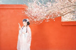 YiTuYu Art Language Vol.10207: Stunning Qing Mo 07 Portrait Gallery - image 0