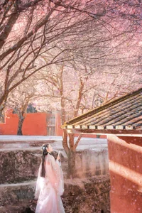 YiTuYu Art Language Vol.10207: Stunning Qing Mo 07 Portrait Gallery - image 4