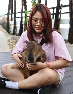 Capybara Cafe Trend Hits Ho Chi Minh City: A Unique Animal Interaction Experience - image 0
