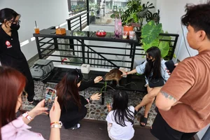 Capybara Cafe Trend Hits Ho Chi Minh City: A Unique Animal Interaction Experience - image 6