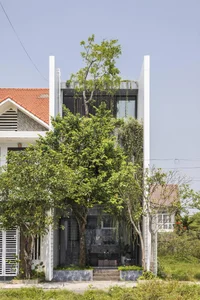 Smart Front Yard Planting Solutions for Enhanced Curb Appeal and Positive Feng Shui - image 0