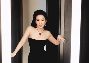 The Glamorous Life of Liu Yifei: China's Most Beautiful Actress - image 2