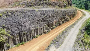 Remarkable Columnar Basalt Formations Discovered in Quang Nam - image 1