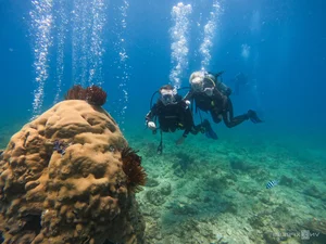 Top 7 Thrilling Adventure Experiences You Must Try in Vietnam for Adrenaline Junkies - image 2