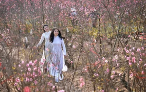 Elegant Vietnamese Tradition: Lê Thị Phương Thảo in Stunning Áo Dài Photography - image 16