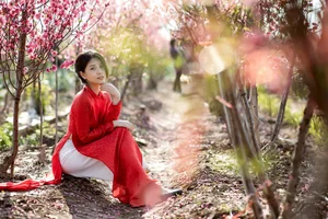 Elegant Vietnamese Tradition: Lê Thị Phương Thảo in Stunning Áo Dài Photography - image 0