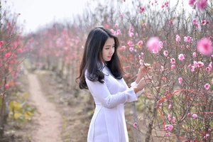 Elegant Vietnamese Tradition: Lê Thị Phương Thảo in Stunning Áo Dài Photography - image 9