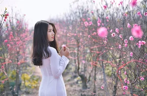 Elegant Vietnamese Tradition: Lê Thị Phương Thảo in Stunning Áo Dài Photography - image 17