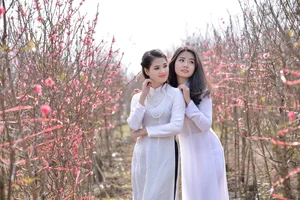 Elegant Vietnamese Tradition: Lê Thị Phương Thảo in Stunning Áo Dài Photography - image 4