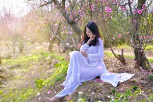 Elegant Vietnamese Tradition: Lê Thị Phương Thảo in Stunning Áo Dài Photography - image 14