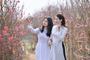 Elegant Vietnamese Tradition: Lê Thị Phương Thảo in Stunning Áo Dài Photography - image 11