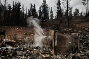 Devastating Wildfires Ravage Famous Tourist Town: A Visual Report on the Environmental Impact - image 9