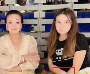 Celebrity Drama: Wang Xiaofei’s New Relationship Sparks Intense Online Debate Over Beauty Standards - image 0